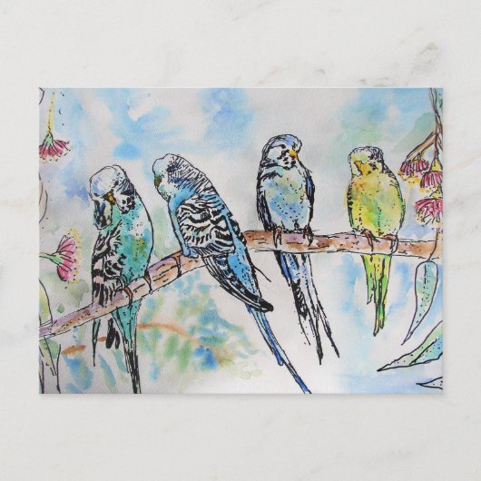 Budgie Budgies Waterverf Painting Bird Card Briefkaart (Voorkant)