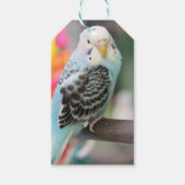 Budgie Cadeaulabel (Voorkant)