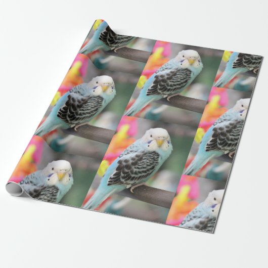 Budgie Cadeaupapier (Uitgerold)