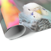 Budgie Cadeaupapier (Rol Hoek)