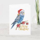 Budgie Christmas Card Feestdagen Kaart (Voorkant)