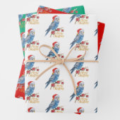 Budgie Christmas Wrapping Paper (In situ)