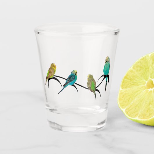 Budgie Frenzy Gift Glass Shot Glas (Voorkant)