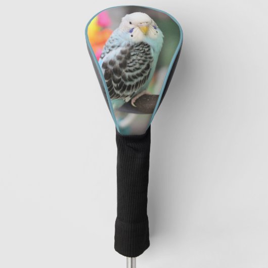 Budgie Golfheadcover (Voorkant)