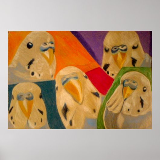 Budgie Grasparkiet Poster (Voorkant)