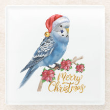 Budgie Kerstmis