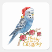 Budgie Kerstmis Vierkante Sticker (Voorkant)