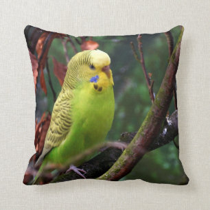 Budgie Kussen