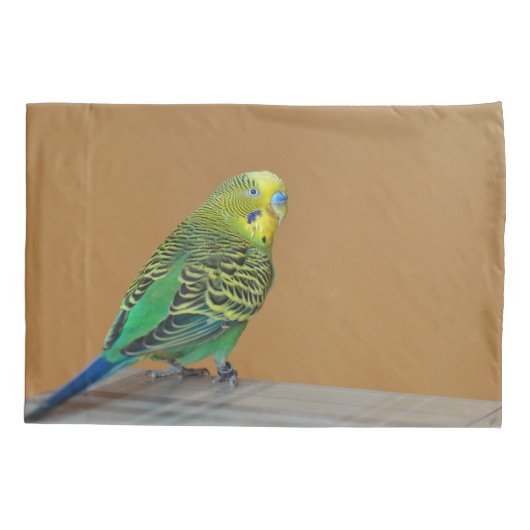 Budgie Kussensloop (Achterkant)