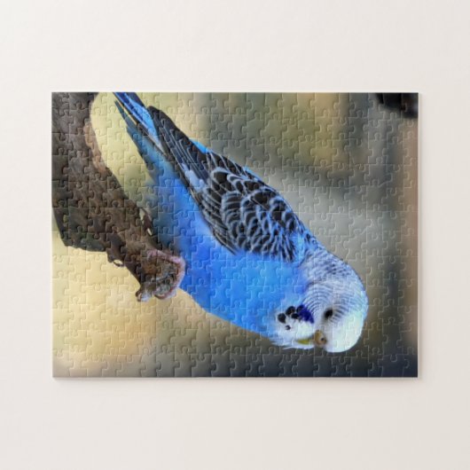 Budgie Legpuzzel (Horizontaal)