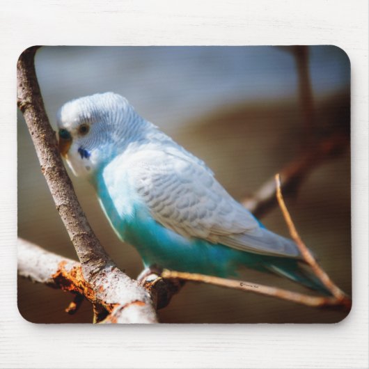 Budgie Muismat (Voorkant)