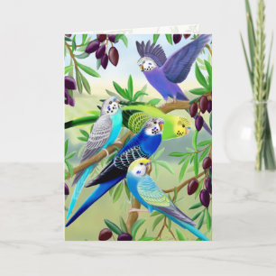 Budgie Parakeets in Olive Tree Greeting Card Kaart