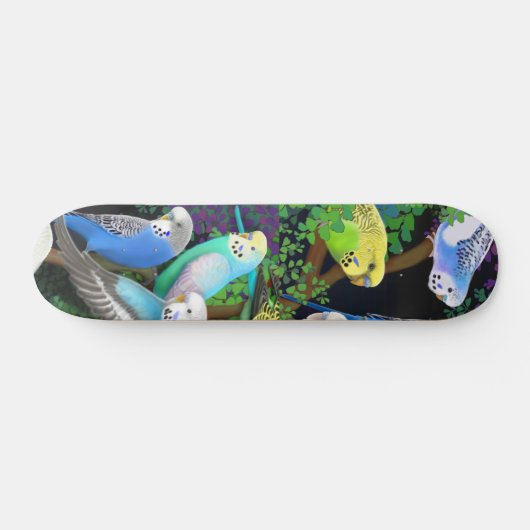 Budgie Parakeets Skateboard (Horizontaal)