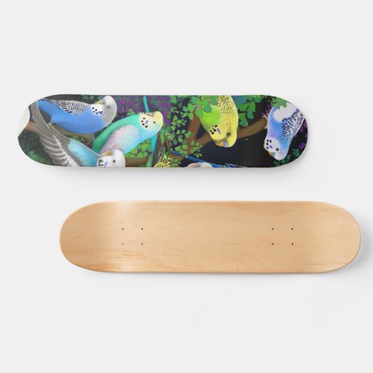 Budgie Parakeets Skateboard (Horizontaal)
