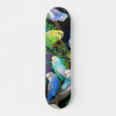 Budgie Parakeets Skateboard (Voorkant)