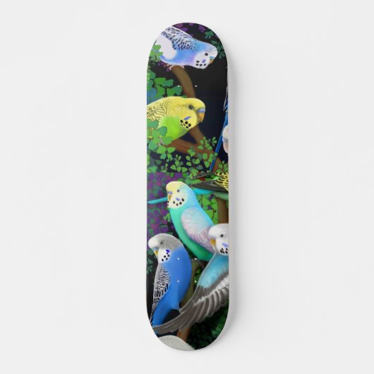 Budgie Parakeets Skateboard (Voorkant)
