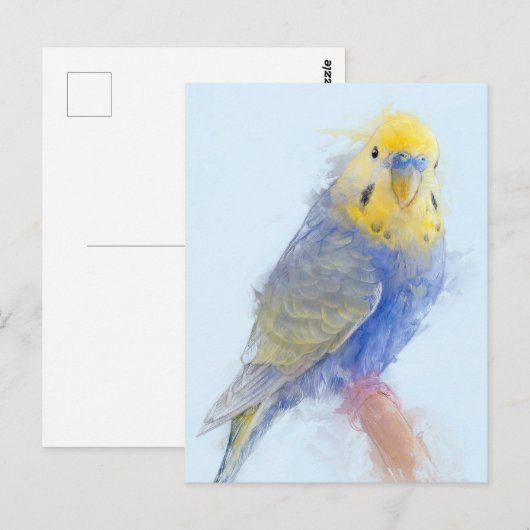 Budgie Portrait No.10 Briefkaart (Voorkant / Achterkant)