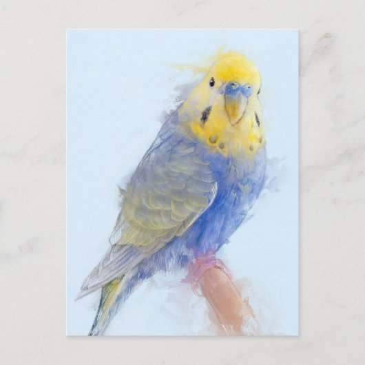 Budgie Portrait No.10 Briefkaart (Voorkant)