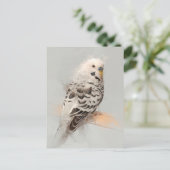 Budgie Portrait No.11 Briefkaart (Staand voorkant)