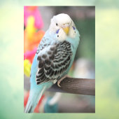 Budgie Raamsticker (Vel 3)