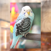 Budgie Raamsticker (Vel 2)