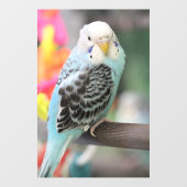 Budgie Raamsticker (Vel)