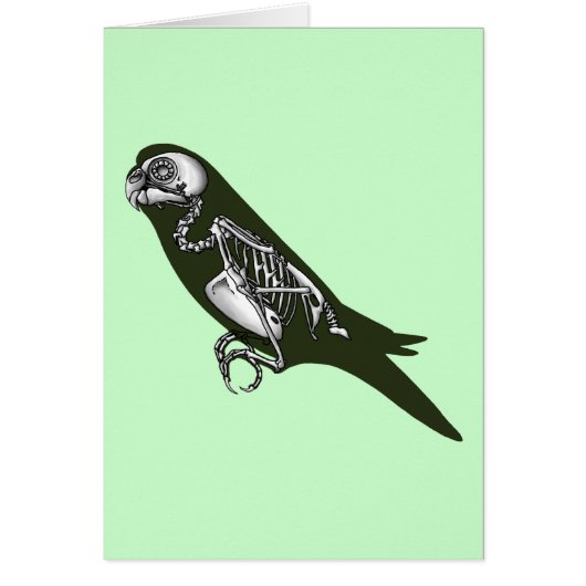 Budgie skeleton (Voorkant)