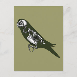 Budgie skeleton briefkaart