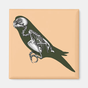 Budgie skeleton magneet