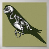 Budgie skeleton poster (Voorkant)