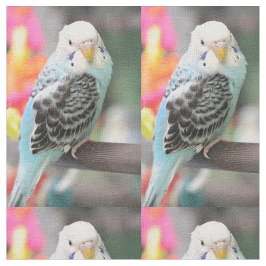 Budgie Stof (Close Up)