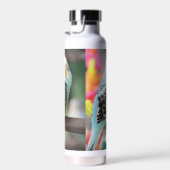Budgie Waterfles (Rechts)