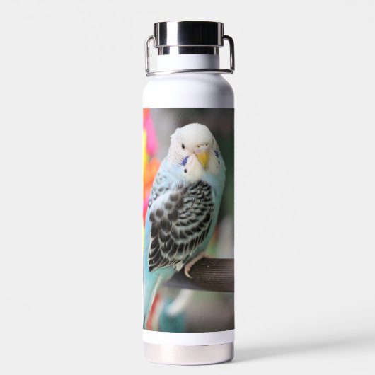Budgie Waterfles (Achterkant)