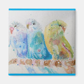 Budgie Waterverfschildering vogel Budgies Aqua Tea Magneet (Voorkant)
