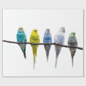 Budgies Cadeaupapier (Vlak)