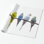 Budgies Cadeaupapier (Uitgerold)