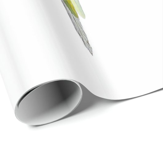 Budgies Cadeaupapier (Rol Hoek)