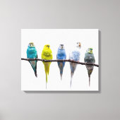 Budgies Canvas Afdruk (Voorkant)