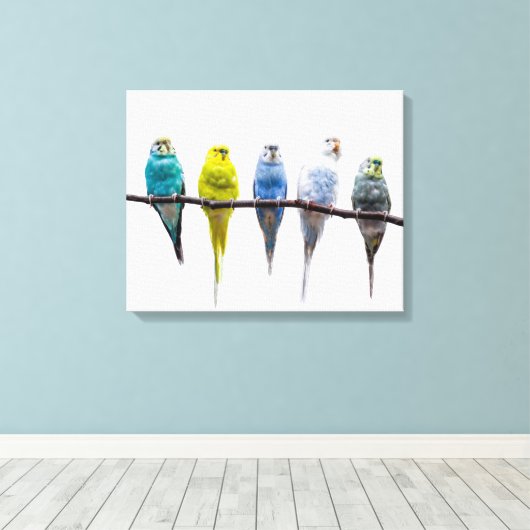 Budgies Canvas Afdruk (Insitu (Houten vloer))