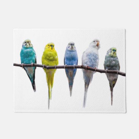 Budgies Deurmat (Voorkant)