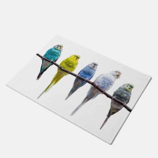 Budgies Deurmat (Schuin)