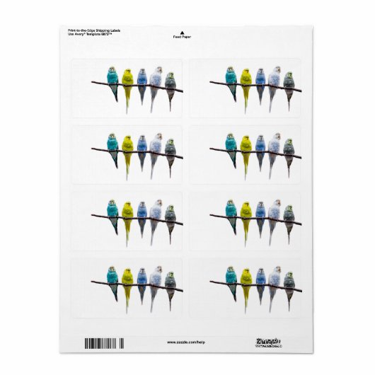 Budgies Etiket (Full Sheet)