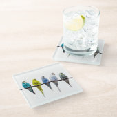 Budgies Glazen Onderzetter (Schuin)