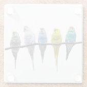 Budgies Glazen Onderzetter (Achterkant)