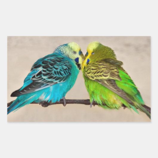 Budgies in Love Sticker (Voorkant)