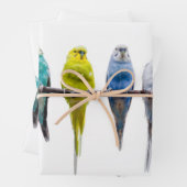 Budgies Inpakpapier Vel (In situ)
