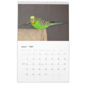 Budgies Kalender 2025 (Mar 2027)