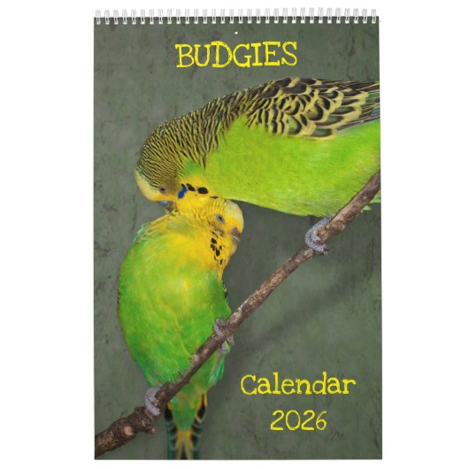 Budgies Kalender 2025 (Hoes)