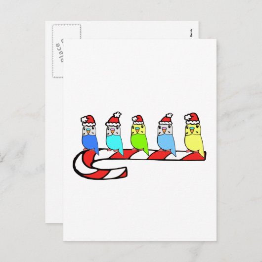 Budgies - Kerstmis Feestdagenkaart (Voorkant / Achterkant)