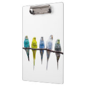 Budgies Klembord (Links)